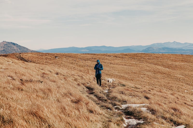 Exploring the Unknown
